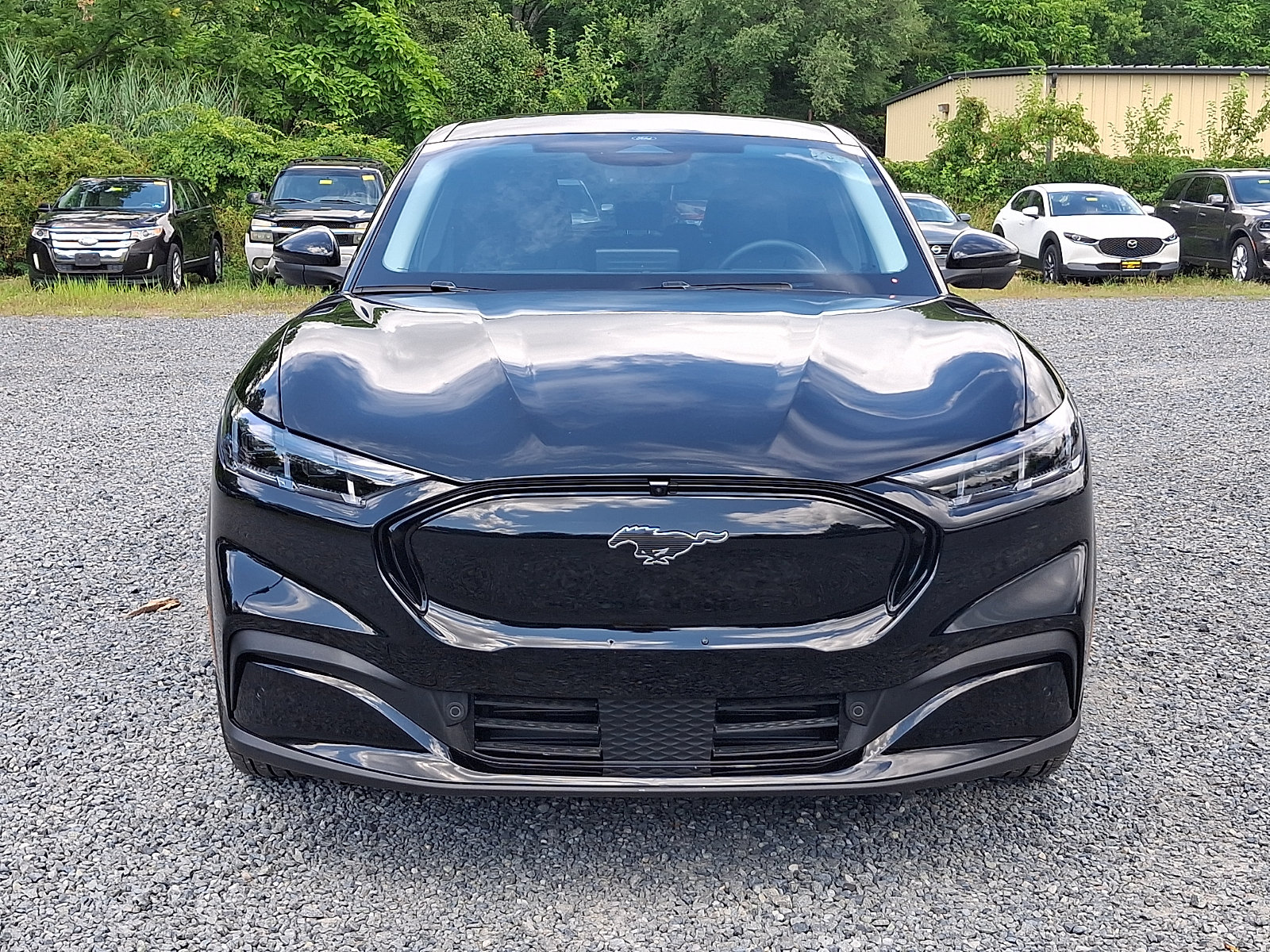 Used 2025 Ford Mustang Mach-E Premium AWD/4WD image 2