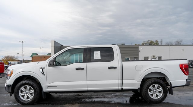 Used 2021 Ford F150 XLT w/ Equipment Group 301A Mid image 9