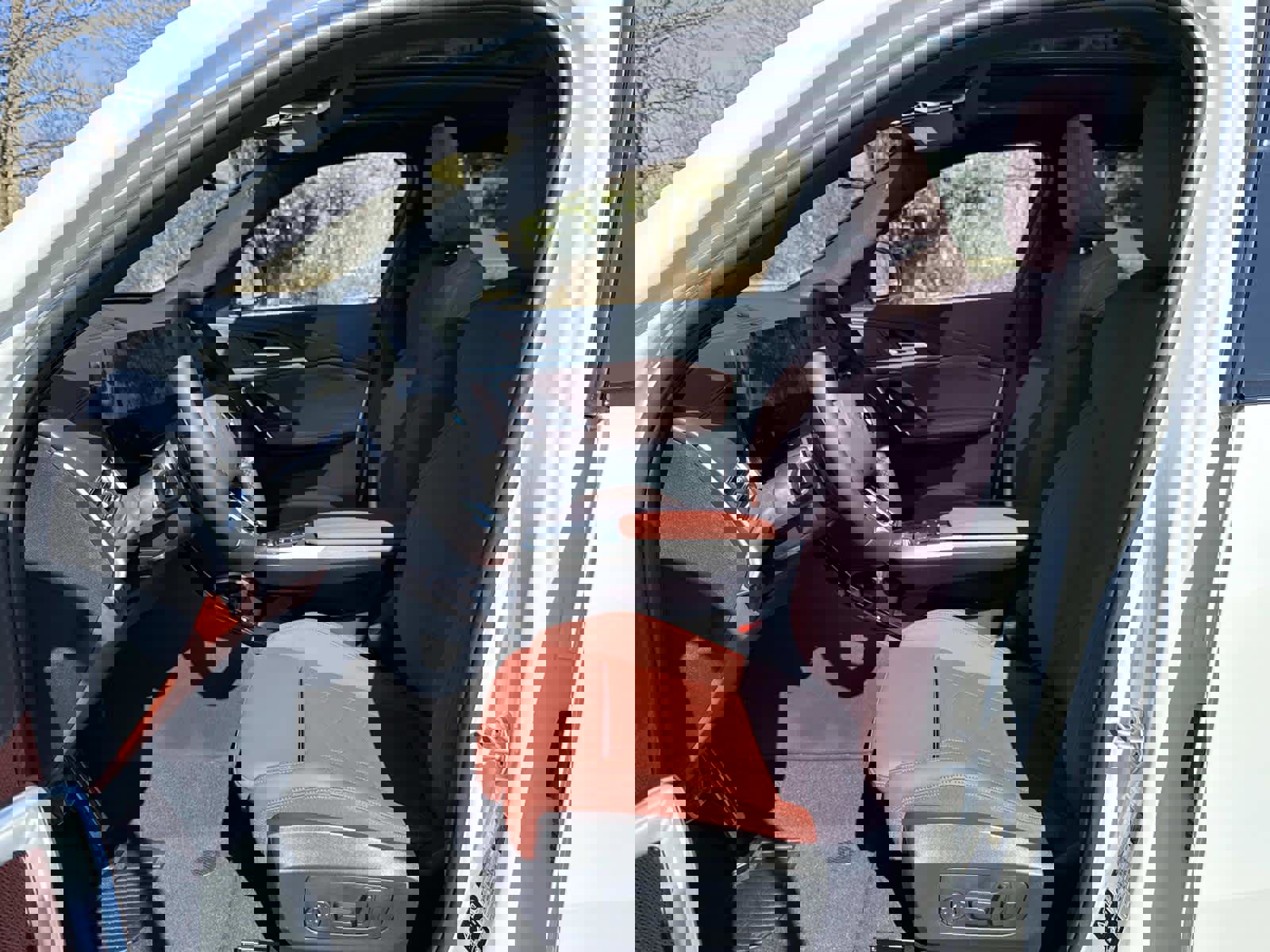 New 2026 BMW X2 xDrive28i w/ Technology Package image 14