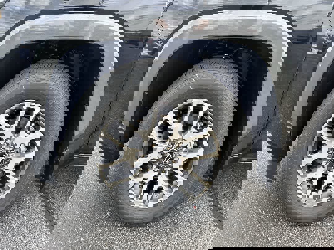 New 2026 Toyota Sequoia 1794 Edition image 10