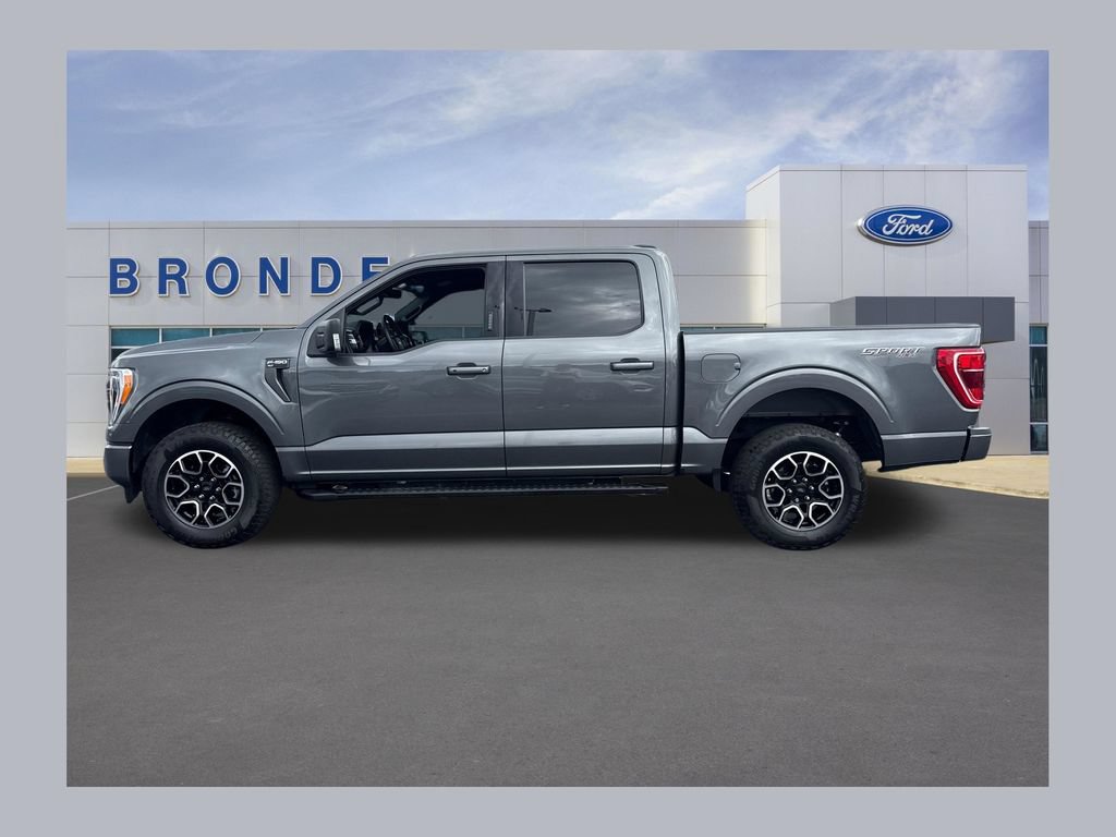 Used 2023 Ford F150 XLT w/ Equipment Group 302A High AWD/4WD 360° Tour