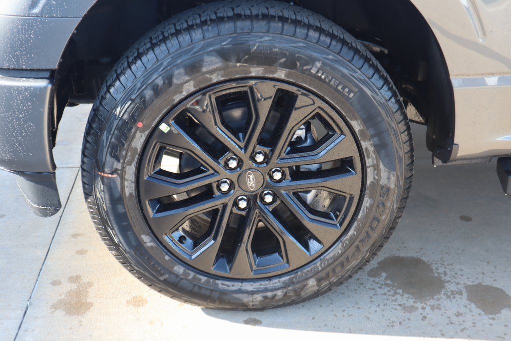 New 2025 Ford F150 XLT w/ Equipment Group 302A MID image 19