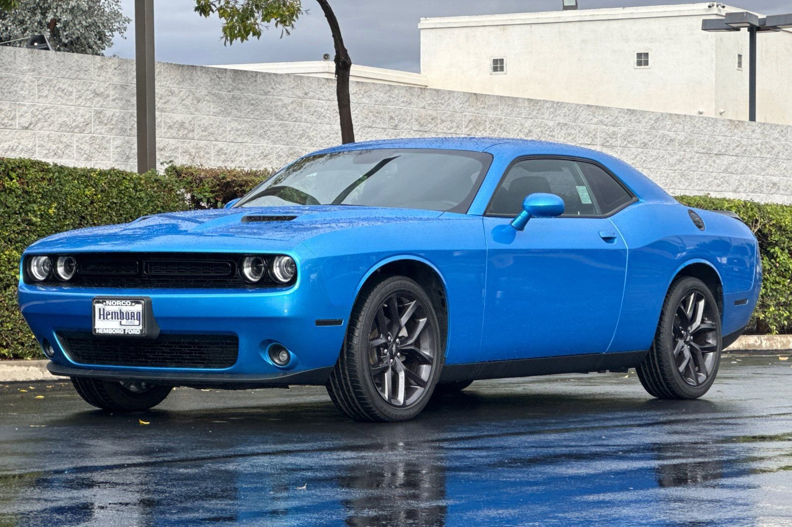 Used 2023 Dodge Challenger SXT w/ Blacktop Package image 8
