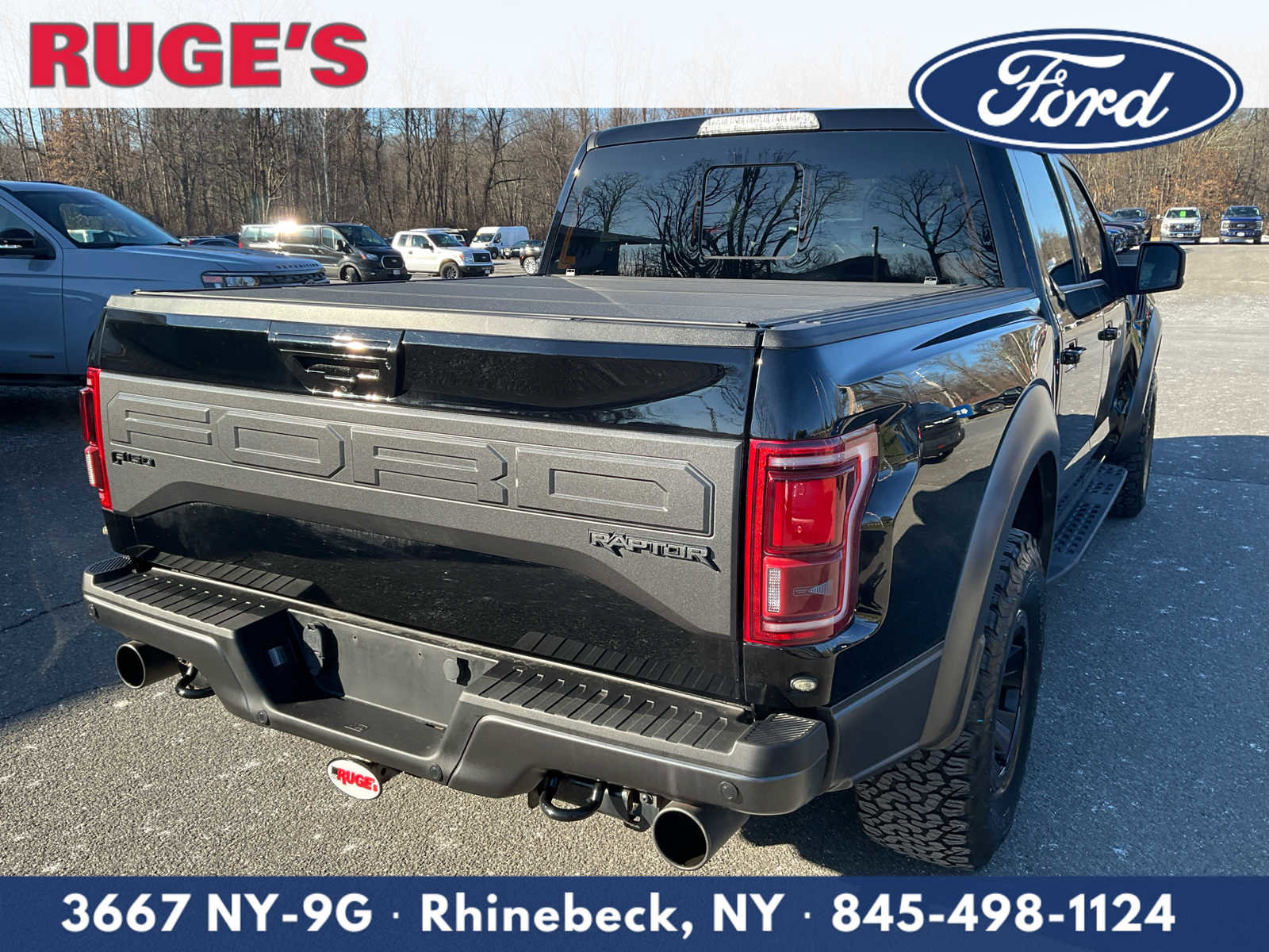 Used 2018 Ford F150 Raptor w/ Equipment Group 802A Luxury image 4