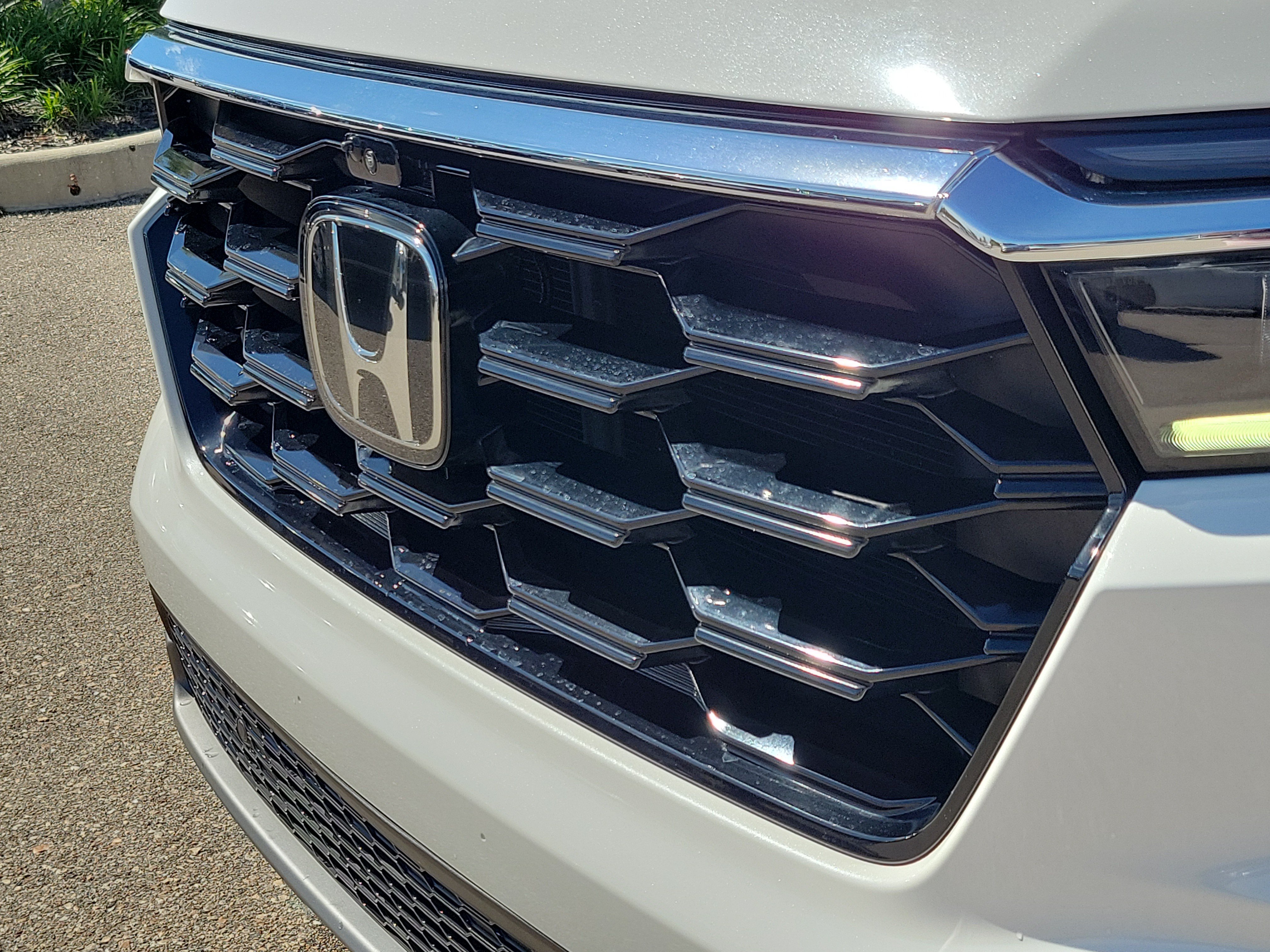 Certified 2025 Honda Pilot Elite image 14