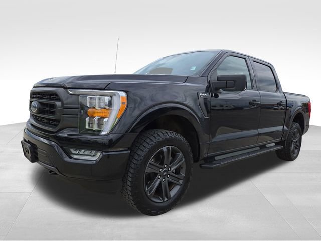 Used 2023 Ford F150 XLT w/ Equipment Group 302A High AWD/4WD image 5