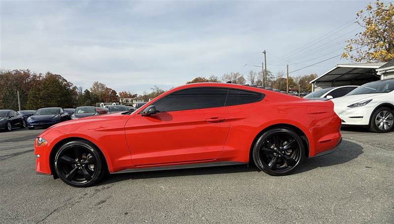 Used 2022 Ford Mustang Premium w/ Equipment Group 201A image 2