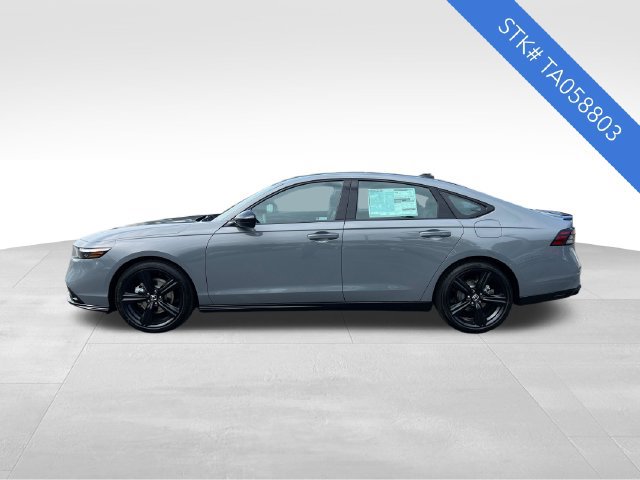 New 2026 Honda Accord Sport image 4