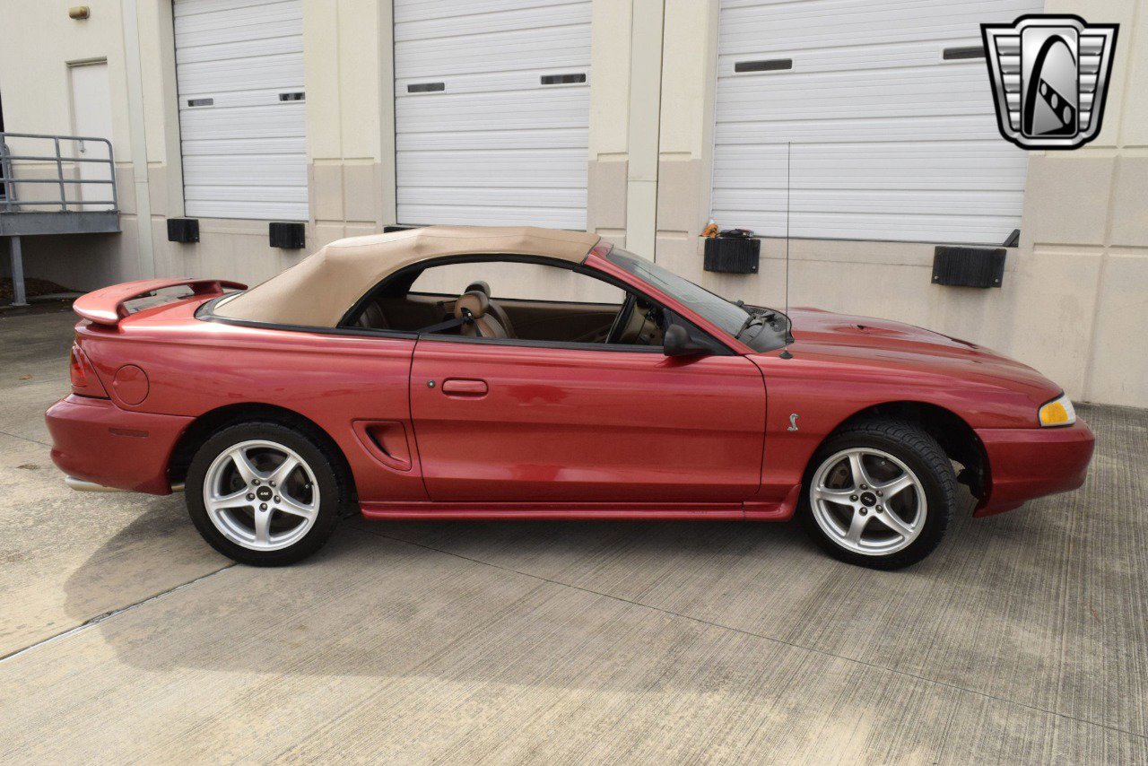 Used 1998 Ford Mustang Cobra image 7