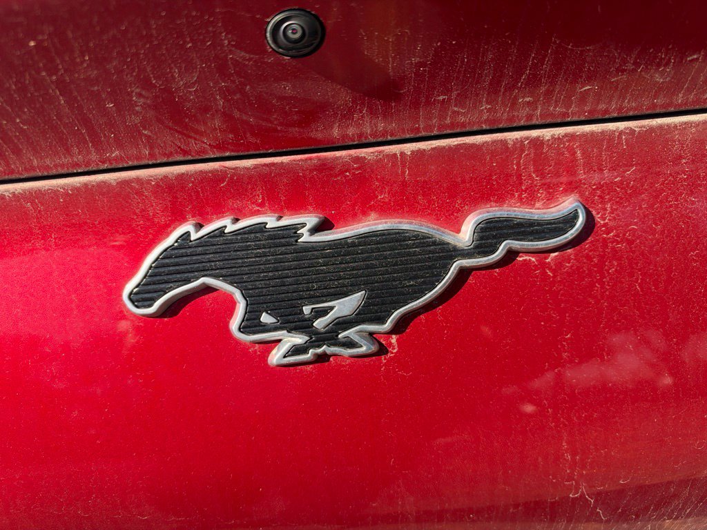 Used 2021 Ford Mustang Mach-E Select AWD/4WD image 8