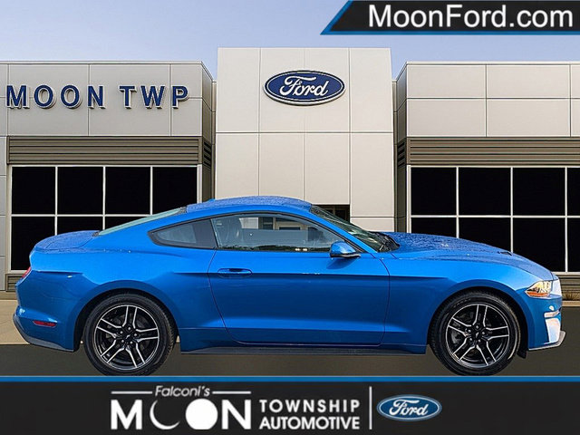 Used 2019 Ford Mustang Premium w/ Equipment Group 201A RWD image 1
