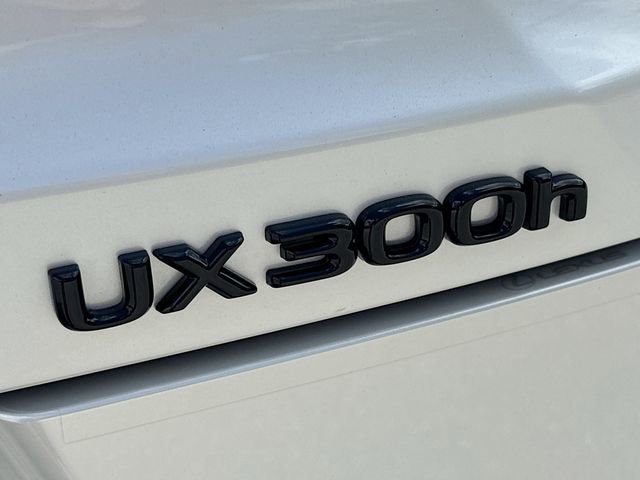 Used 2025 Lexus UX 300h FWD w/ Accessory Package (Z1) image 11
