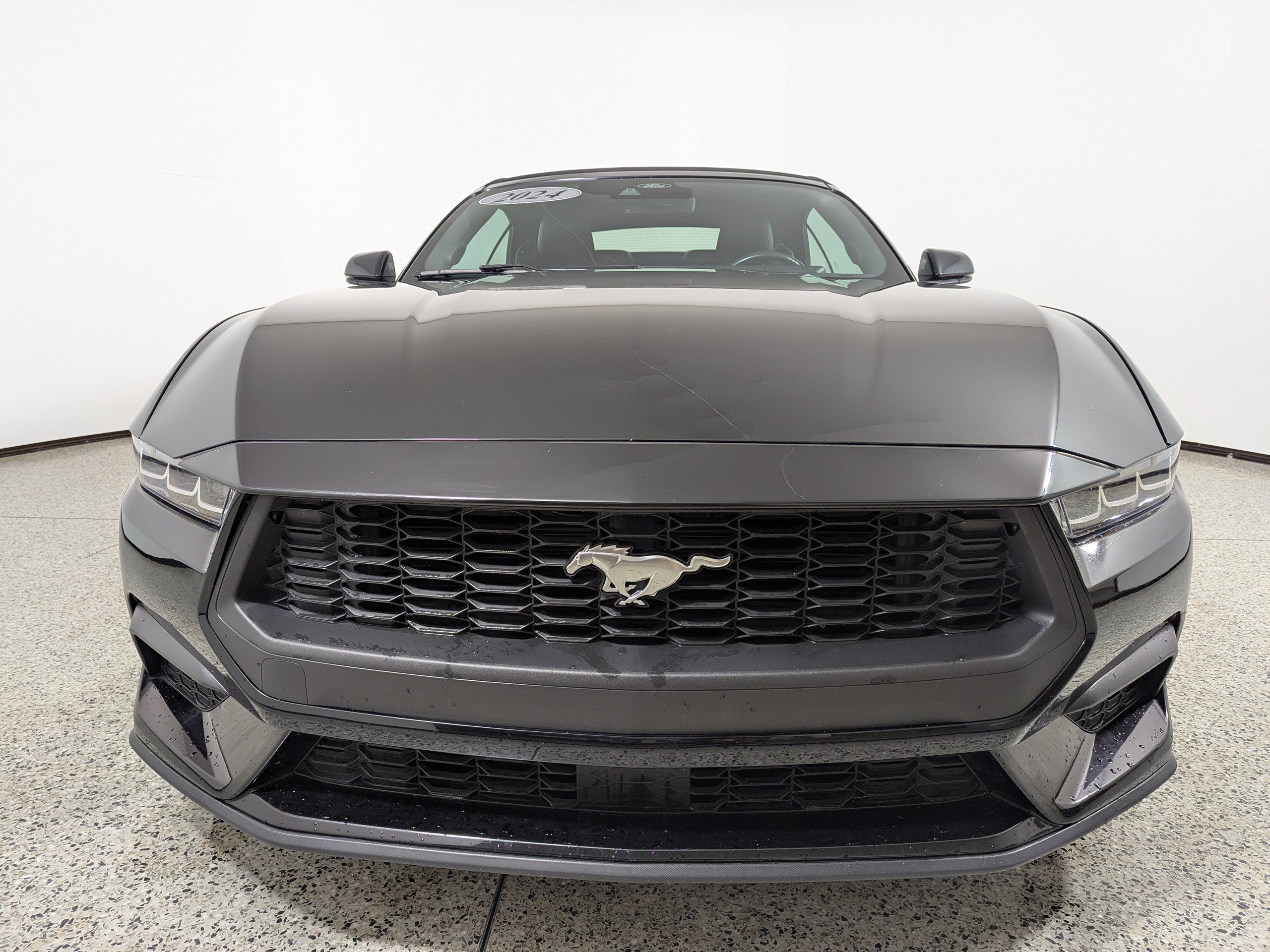 Used 2024 Ford Mustang Premium RWD image 2
