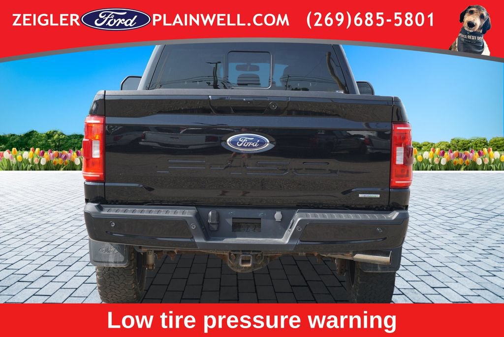 Used 2023 Ford F150 XLT w/ Equipment Group 302A High AWD/4WD image 4