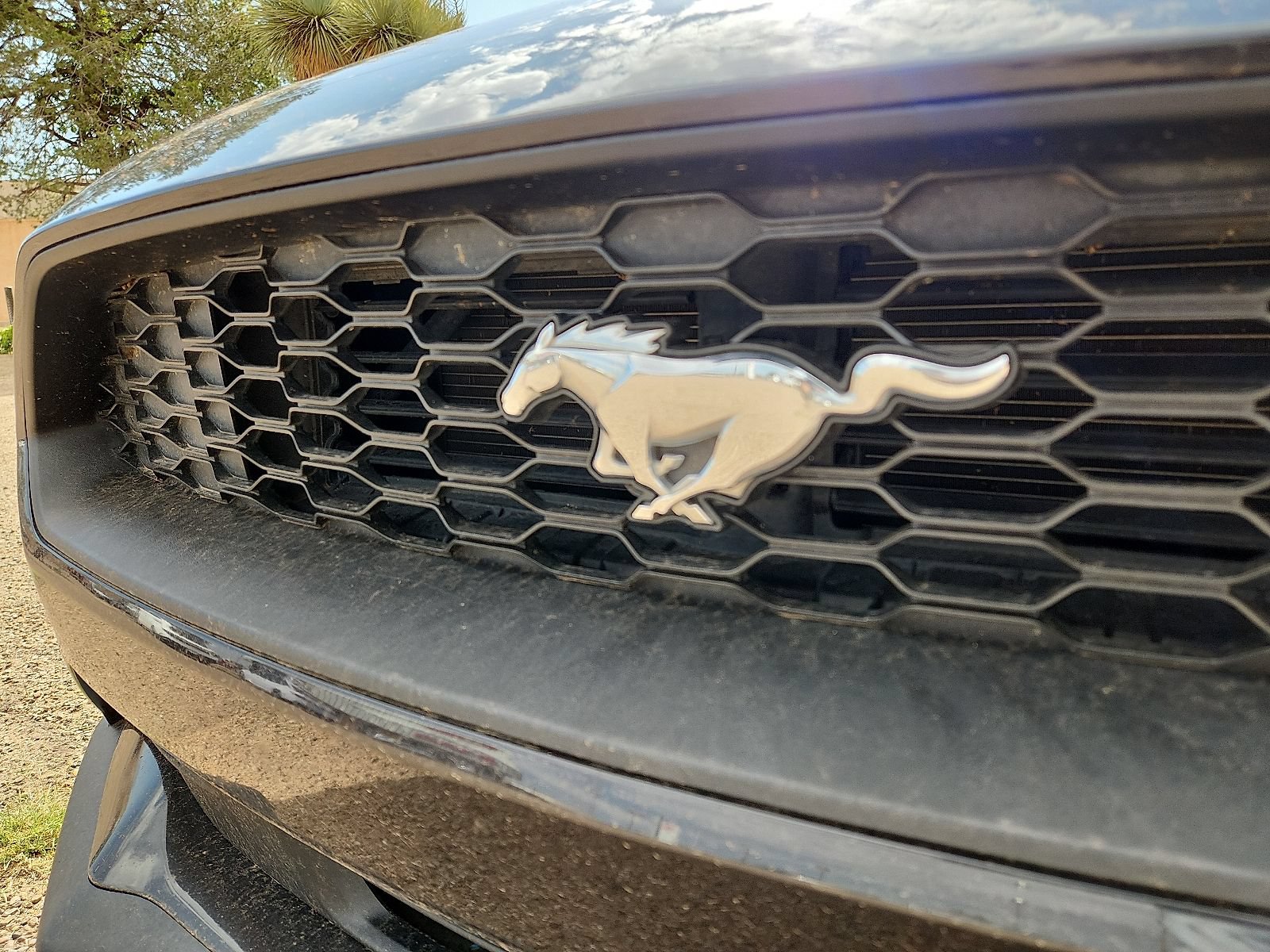 Used 2022 Ford Mustang Coupe RWD image 8