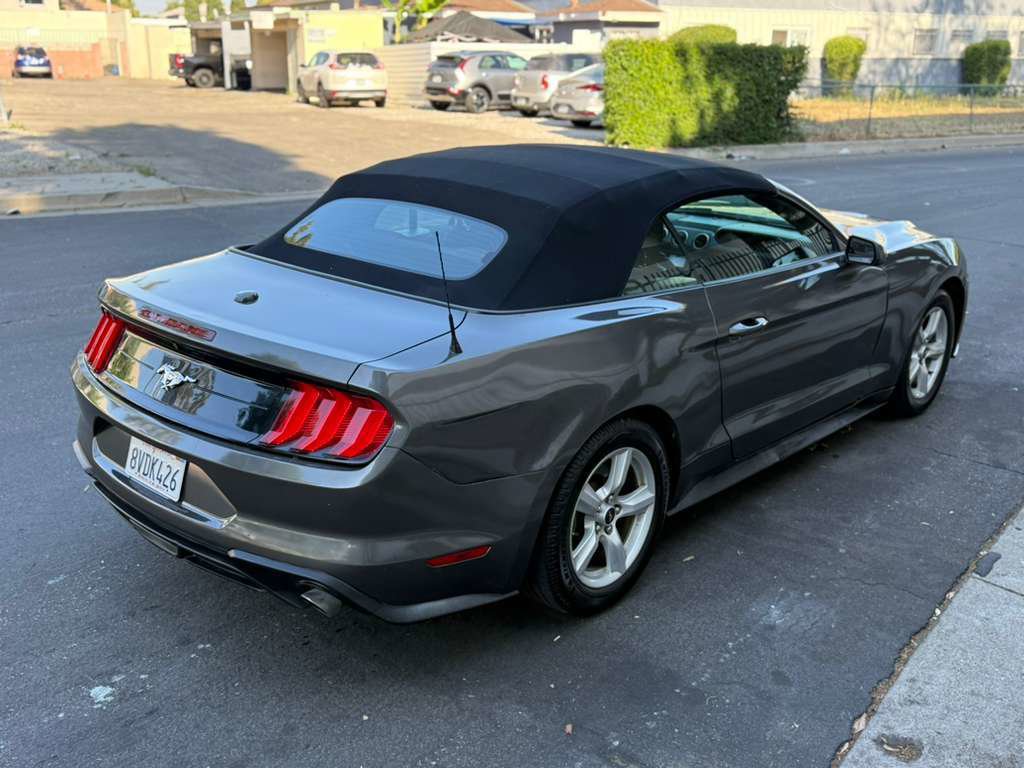 Used 2019 Ford Mustang Convertible RWD image 13