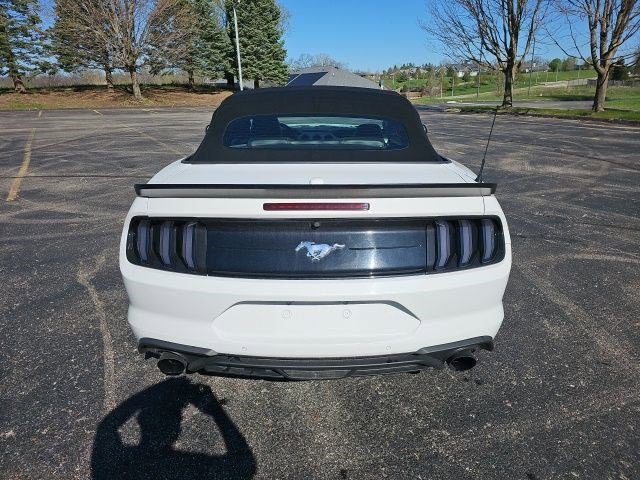 Used 2019 Ford Mustang Premium RWD image 5