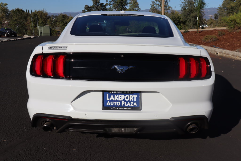 Used 2019 Ford Mustang Coupe w/ Equipment Group 101A RWD image 6