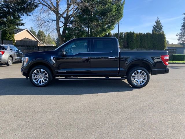Certified 2023 Ford F150 Limited image 2