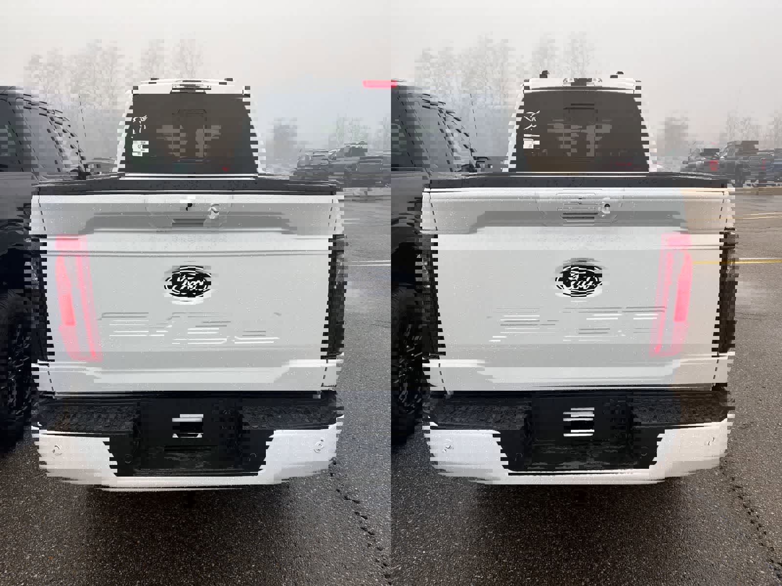 New 2026 Ford F150 XLT w/ Equipment Group 302A MID image 8