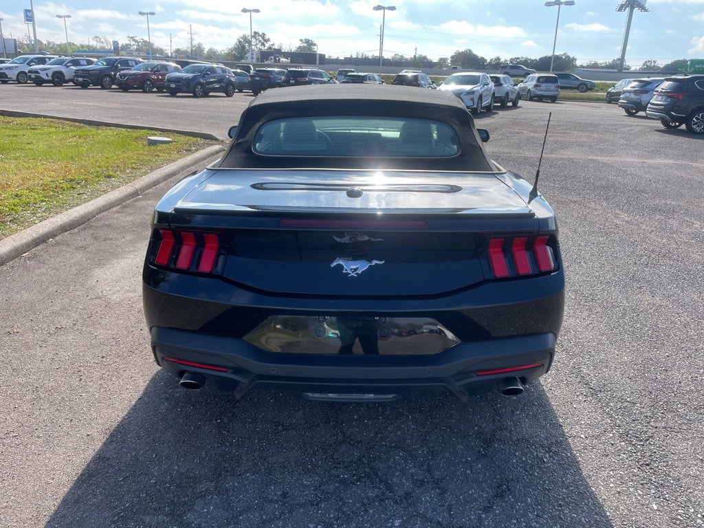 Used 2024 Ford Mustang Premium image 6