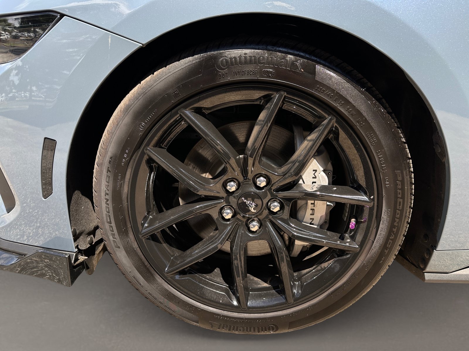Used 2025 Ford Mustang GT Premium RWD image 10
