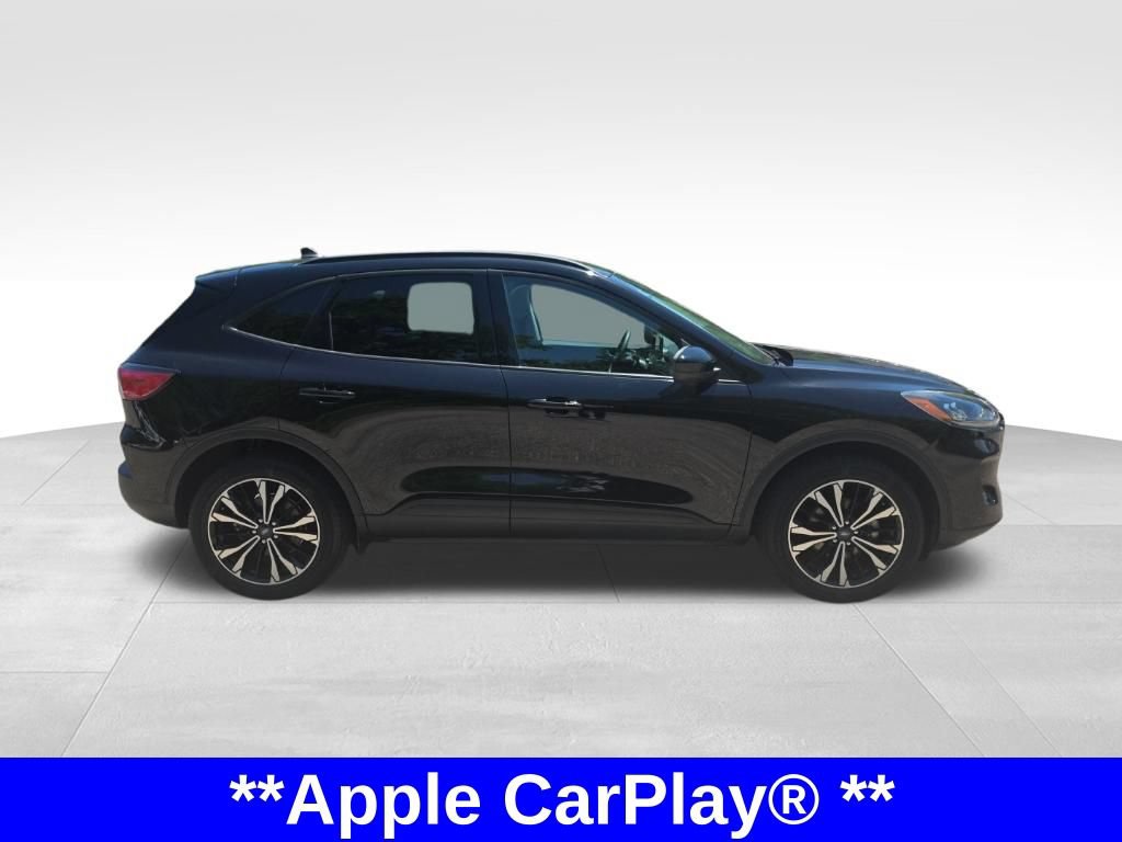 Certified 2022 Ford Escape SEL w/ SEL Stealth AWD Package image 4