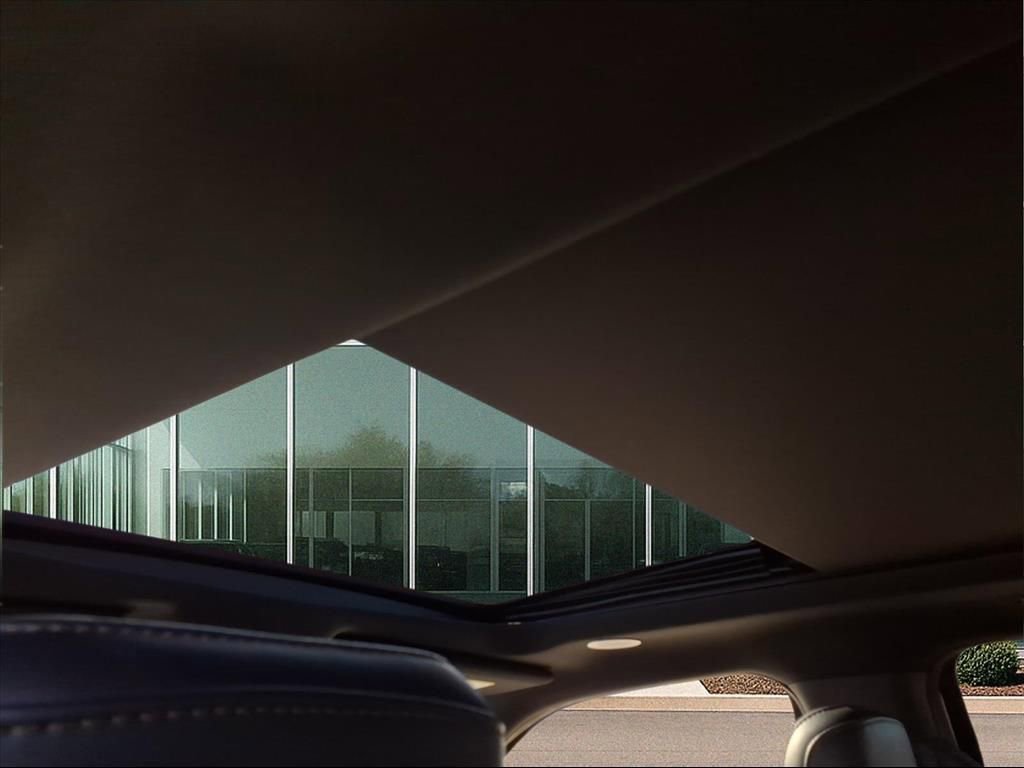 Used 2023 Ford F150 Raptor w/ Raptor Carbon Fiber Package image 15