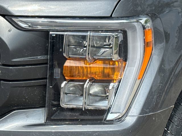 Used 2022 Ford F150 XLT w/ Equipment Group 302A High image 4