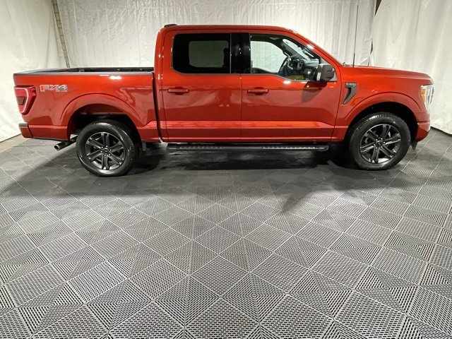 Used 2023 Ford F150 XLT w/ Equipment Group 302A High image 4