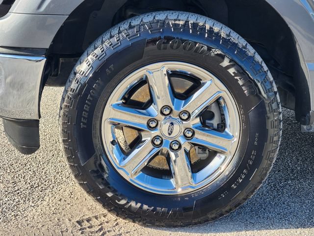 Used 2025 Ford F150 XLT w/ Equipment Group 301A Standard AWD/4WD image 10