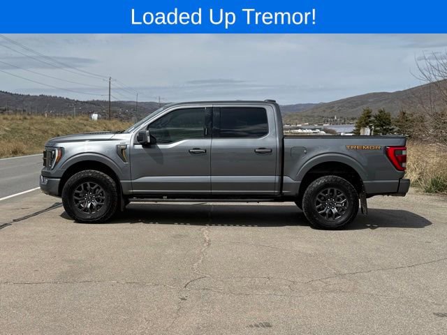 Used 2023 Ford F150 Tremor w/ Equipment Group 402A High AWD/4WD image 2
