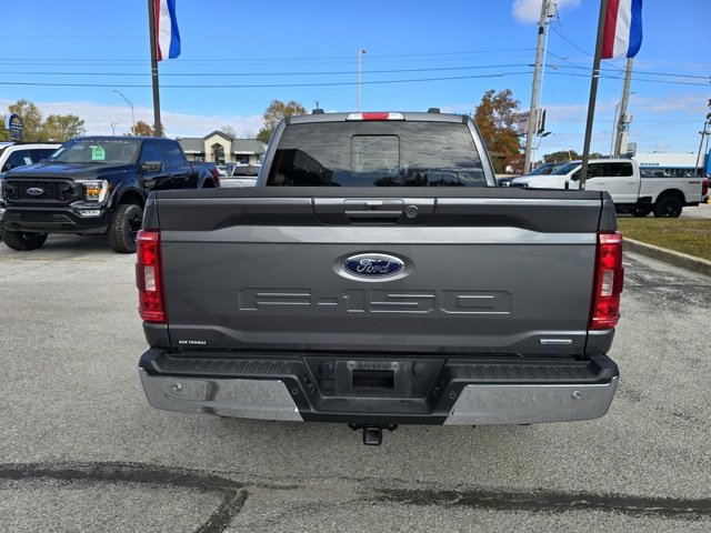 Used 2023 Ford F150 XLT w/ Equipment Group 302A High image 4