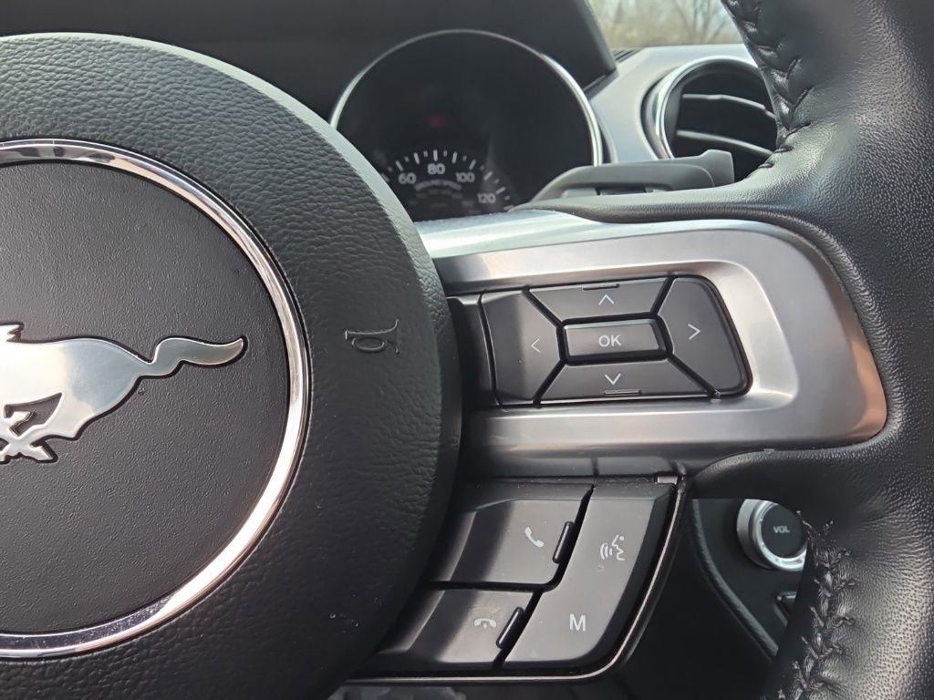 Used 2023 Ford Mustang GT w/ Equipment Group 301A RWD image 13