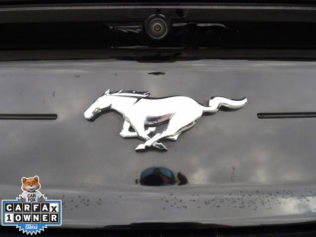 Certified 2023 Ford Mustang Premium image 12