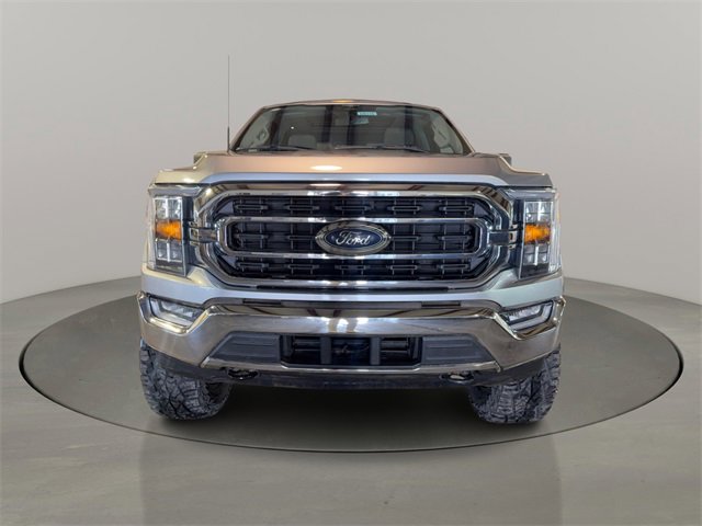 Used 2023 Ford F150 XLT w/ Equipment Group 302A High image 2