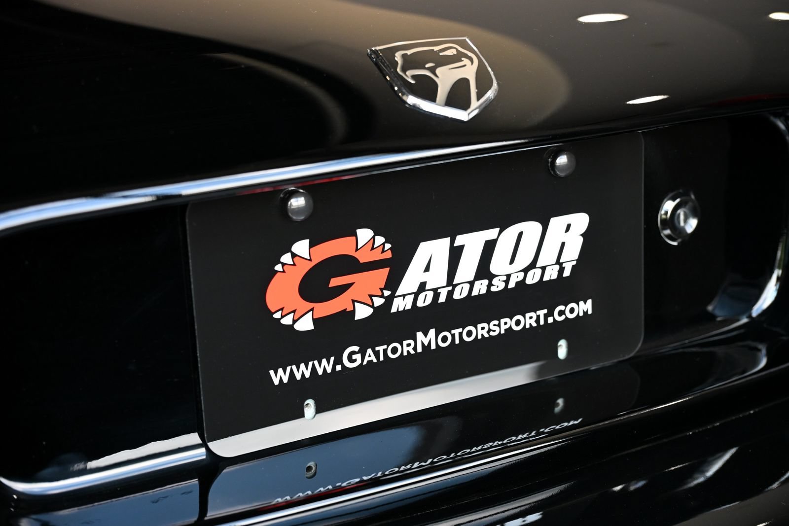 Used 1994 Dodge Viper RT/10 RWD image 14