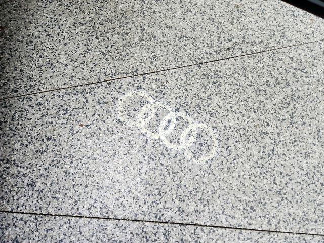 Used 2022 Audi Q3 2.0T Premium Plus w/ Premium Plus Package image 14