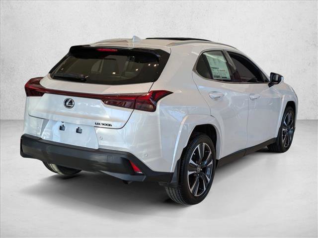 New 2025 Lexus UX 300h FWD video 2