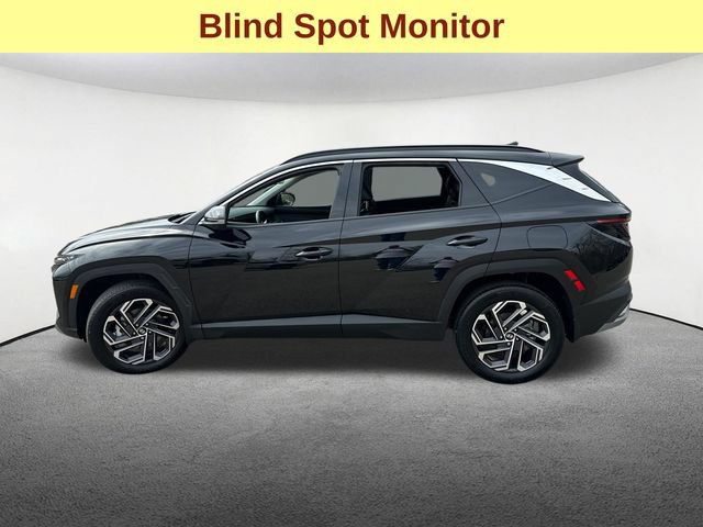 Used 2025 Hyundai Tucson Limited AWD/4WD image 6