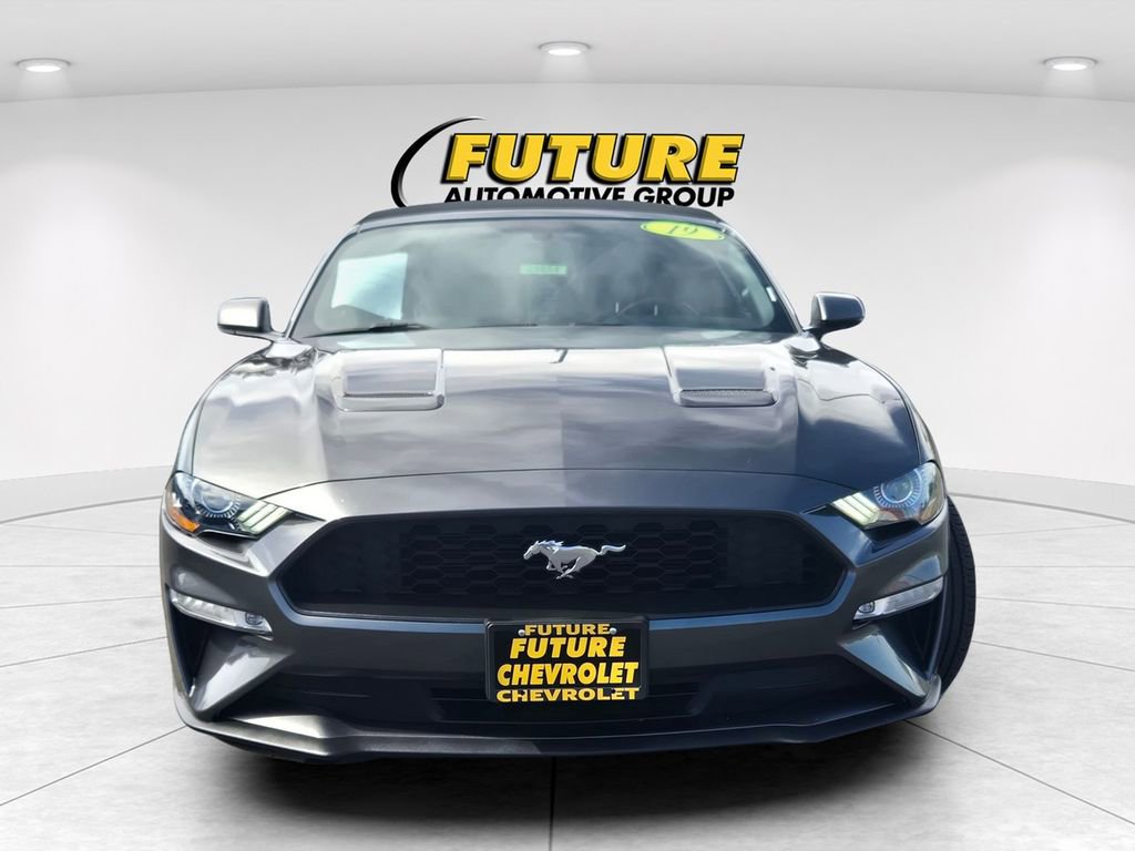 Used 2019 Ford Mustang Premium RWD image 2