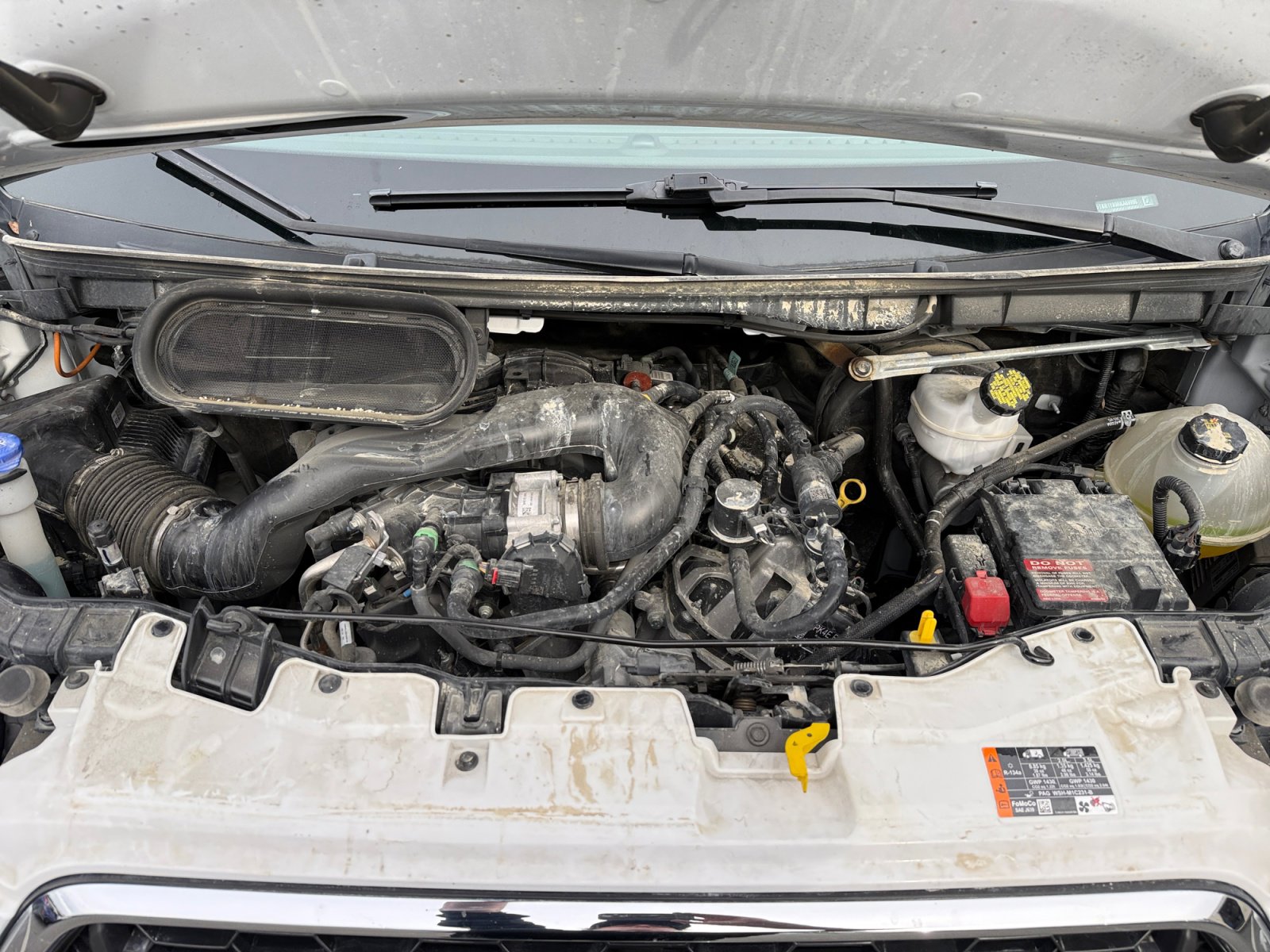 Used 2024 Ford Transit 250 Low Roof w/ Exterior Upgrade Package image 17