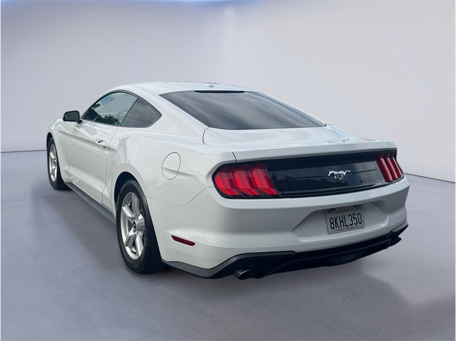 Used 2019 Ford Mustang Coupe RWD image 4