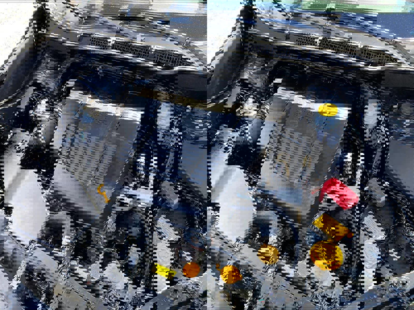 Used 2023 Subaru Forester Wilderness image 35