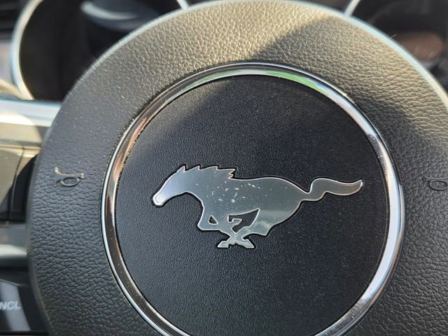 Used 2020 Ford Mustang EcoBoost w/ Equipment Group 101A image 22