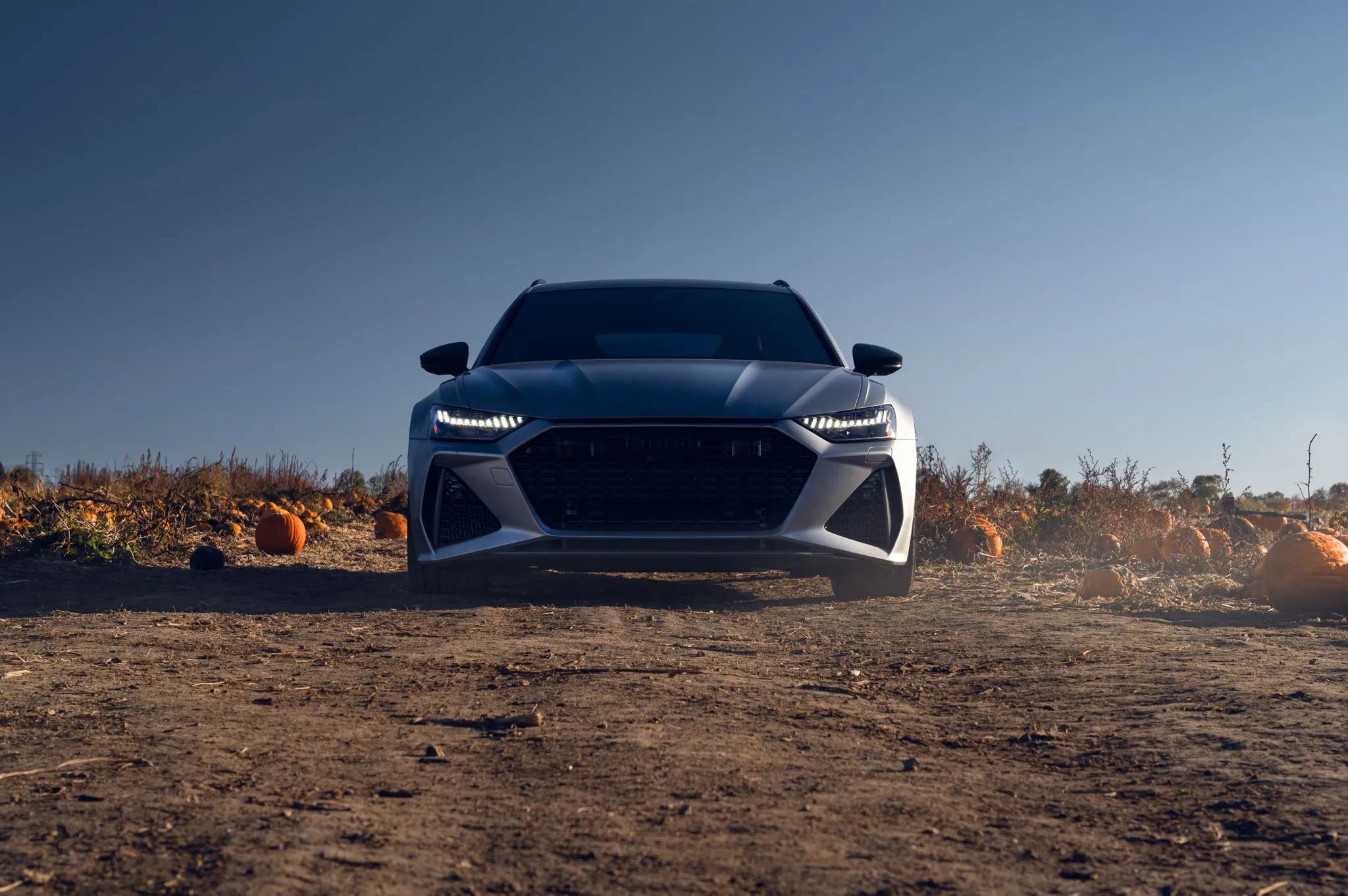 Used 2024 Audi RS 6 performance image 14