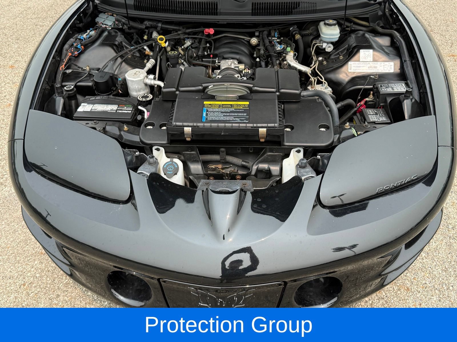 Used 2002 Pontiac Firebird Trans Am RWD image 29