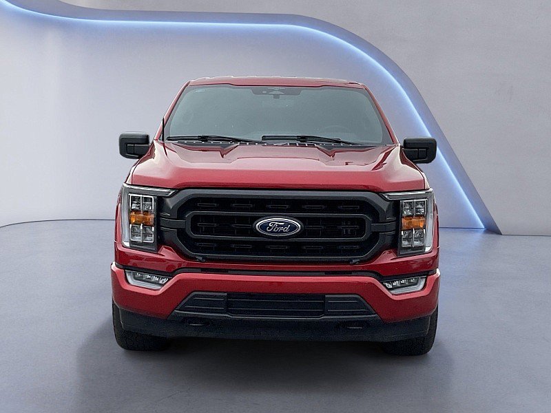 Used 2023 Ford F150 XLT w/ Equipment Group 302A High image 8