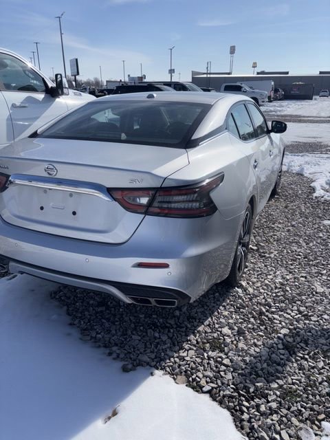 Used 2022 Nissan Maxima SV w/ Floor Mat Group image 3