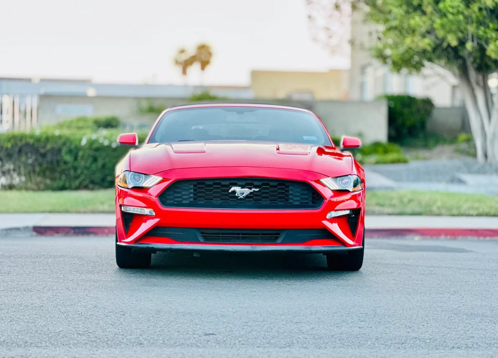 Used 2019 Ford Mustang Premium RWD image 2